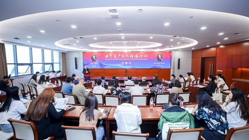 VI设计费用包含哪些要素？揭秘企业品牌形象塑造成本**